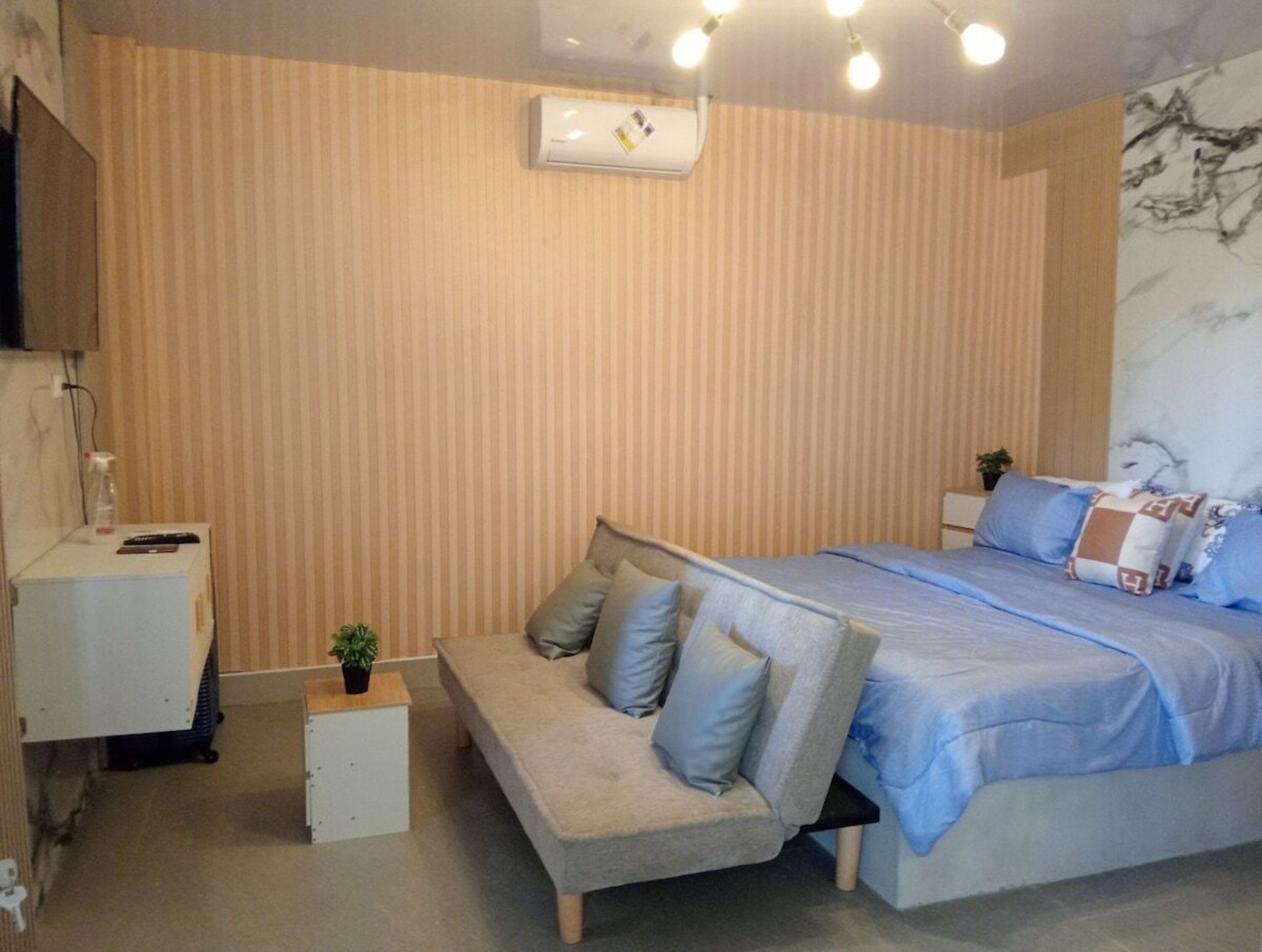 Une chambre à coucher comprenant un lit, un canapé, une petite table avec une plante, un téléviseur et un climatiseur fixé au mur.