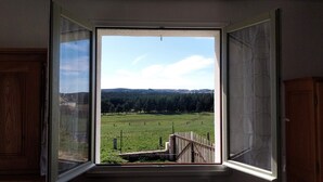Een kamer met een groot raam, een houten deur en uitzicht op een groen veld met bomen.