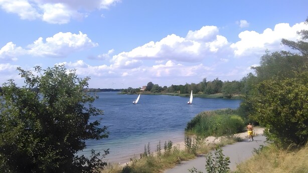 Ein See mit Segelbooten, umgeben von Bäumen und blauem Himmel.
