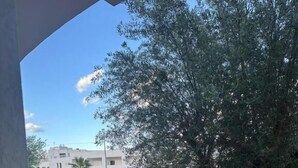 Un espacio exterior empedrado con plantas en macetas y un edificio al fondo.