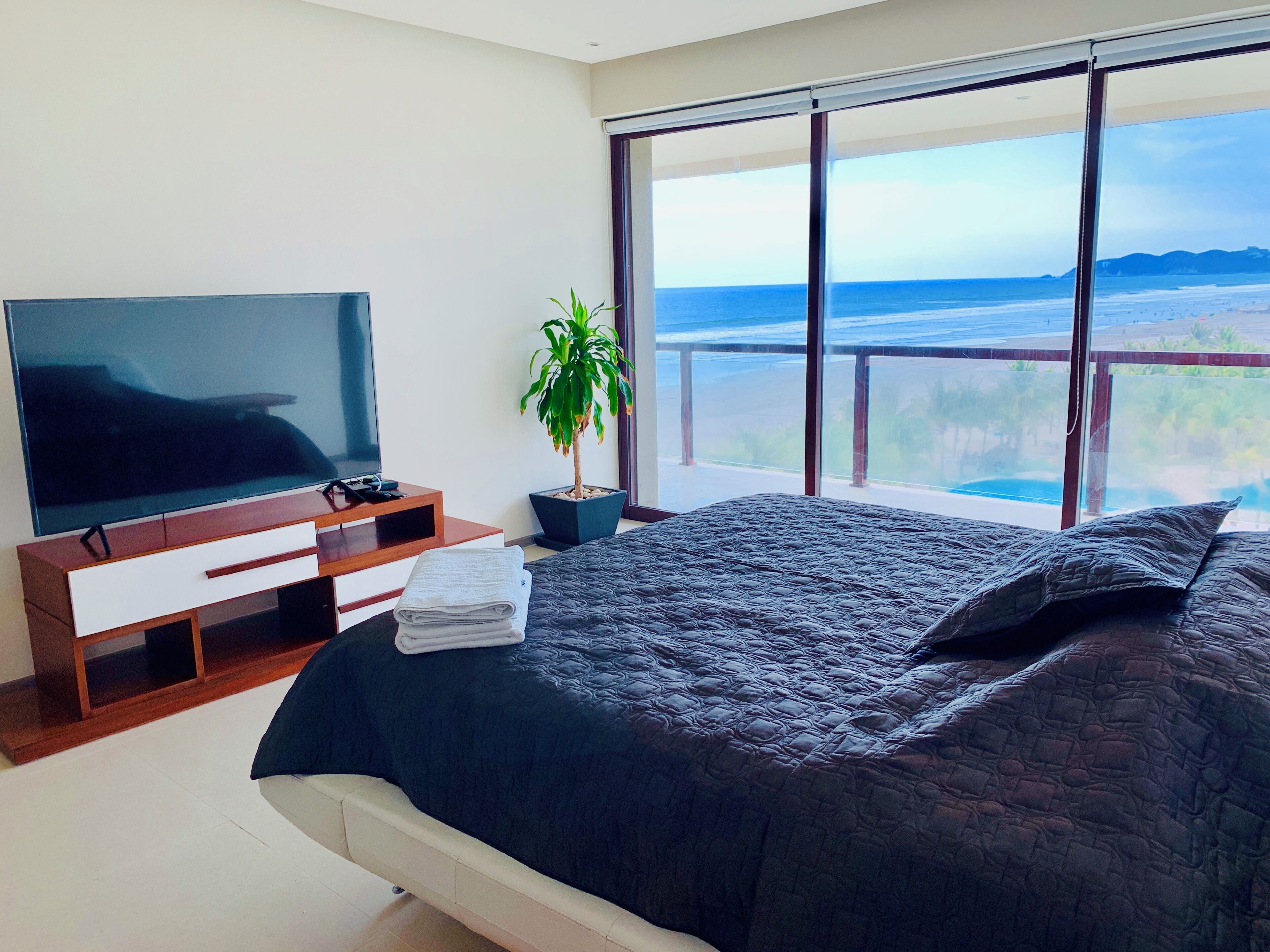 Une chambre avec un grand lit, une télévision, une plante et une vue sur l’océan.