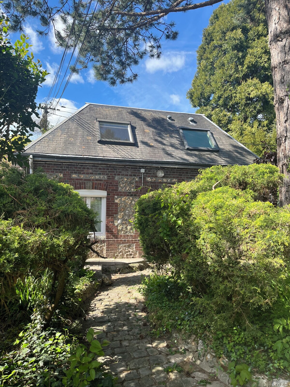 Image de profil de l’hôte