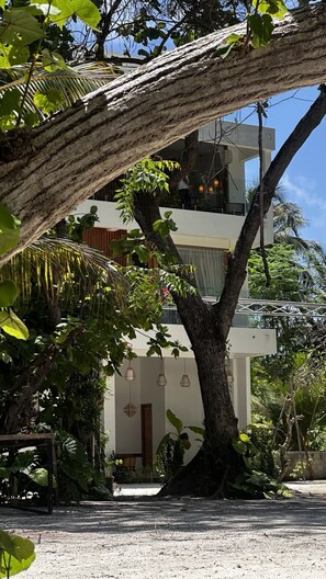 A modern building with a large tree in front, surrounded by lush greenery. - ODI Beachfront (Kamadhoo)