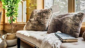 Une pièce chaleureuse avec un canapé, deux coussins moelleux, un livre, une plante en pot et une fenêtre donnant sur des arbres.