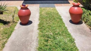 Un bâtiment jaune avec une entrée dotée d’une porte en verre, un chemin pavé et deux jardinières rouges.