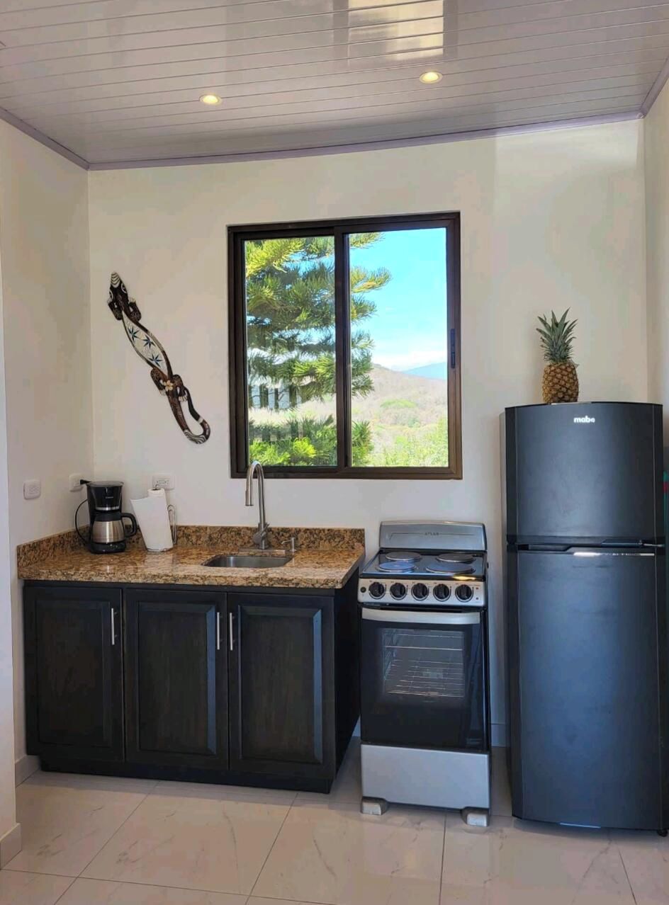 Cocina compacta con estufa, refrigerador y ventana con vista a árboles.