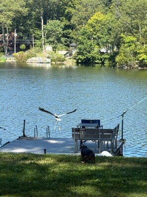 Property grounds - Private LAKE FRONT Cozy 3-bedroom house in charming Vernon Township with AC (Vernon Township)