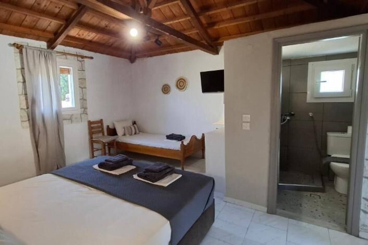 A bedroom with a large bed, a smaller bed, a desk, and a shower area.
