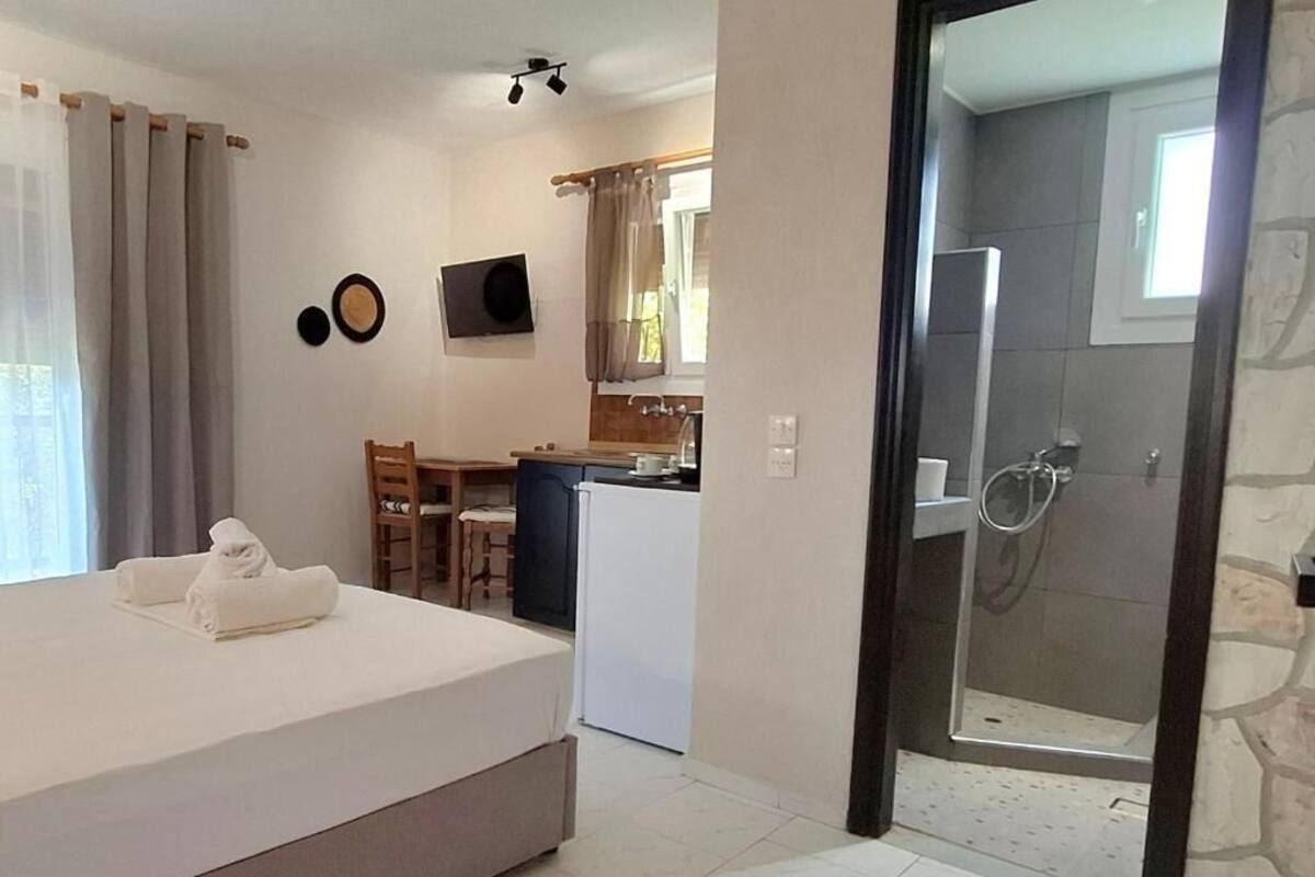 A bedroom with a bed, a small kitchenette, a shower area, and a dining area.