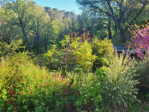 Property grounds - Quiet Provencal country house on 18000 m² of land (Villecroze)