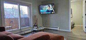 Televisión 