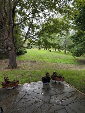 Property grounds - Cozy Studio in wonderful Germantown, Peaceful and Quiet (Tivoli)