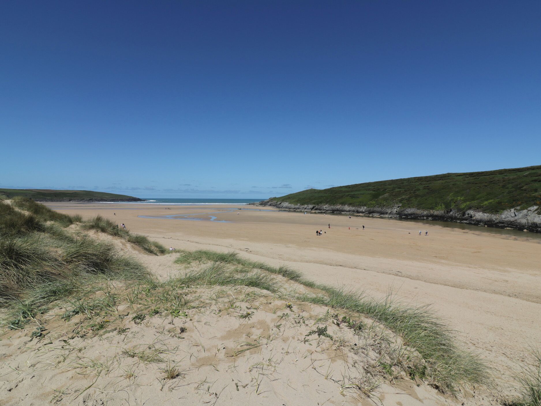A beach with sand dunes and a clear sky.