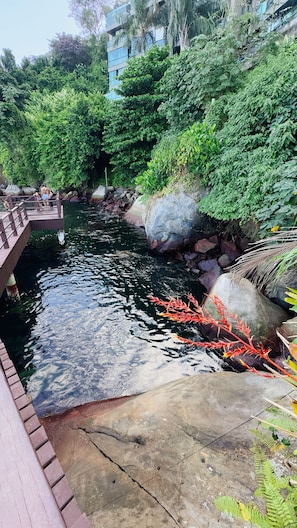 Ein ruhiger Außenbereich mit einer Holzbrücke über einem Teich, umgeben von üppigem Grün und Felsen.