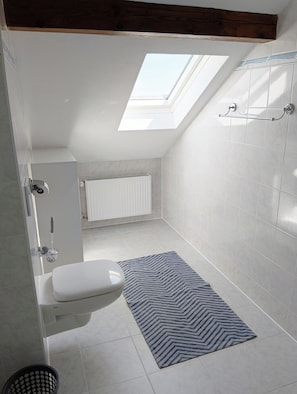 Shower, towels, toilet paper - Room with a bathroom and kitchenette (Diedorf)