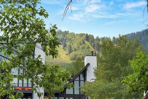 A modern building with large windows and a view of a forested valley.