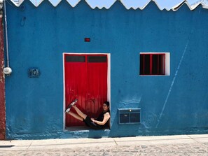 Exterior - Casita on quiet street just 15 minute walk to historic center. (Oaxaca de Juárez)