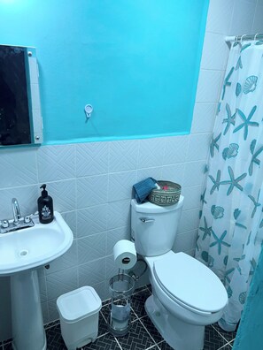 Bathroom - Casita on quiet street just 15 minute walk to historic center. (Oaxaca de Juárez)