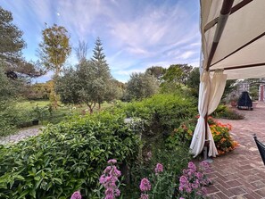 Un jardin agrémenté de diverses plantes et fleurs, un chemin en briques et un espace abrité avec un barbecue.