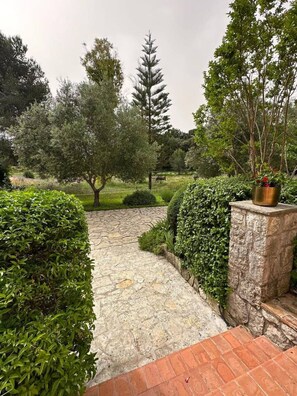 Property grounds - Magnificent Villa Nice - Villefranche (Nice)