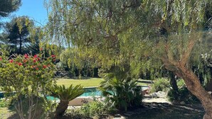 A garden with a pool, various plants, and a tree. - 🌿 A Hidden Paradise Between Nice and Villefranche (Nice)