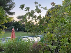 Pool - Magnificent Villa Nice - Villefranche (Nice)