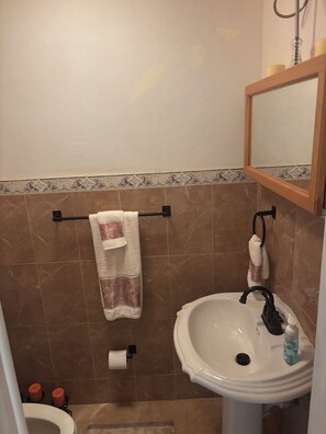 Douche, baignoire à jets, sèche-cheveux, serviettes fournies