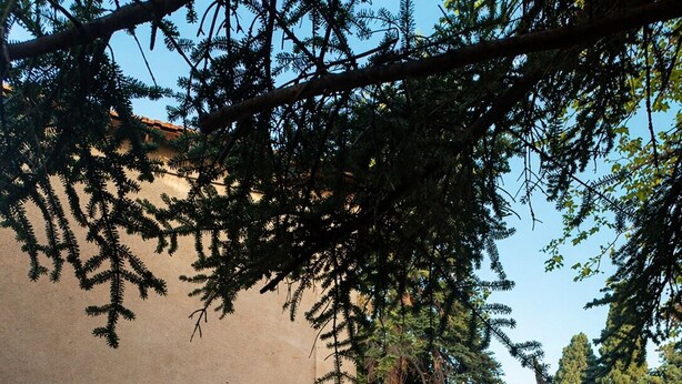 A stone pool with steps leading up to it, surrounded by trees and a building with a stone facade. - Maison de maître en Provence - Charming and old-fashioned in the countryside (Beaucaire)