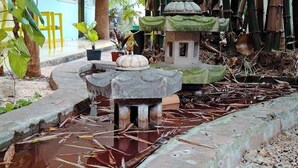 A traditional stone water feature with tiered structures, surrounded by bamboo and potted plants. - Apartment great location convenient parking (Mérida)