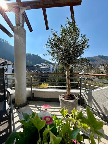 Cozy modern 1-bedroom apartment in charming Traben-Trarbach