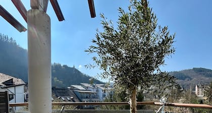 Cozy modern 1-bedroom apartment in charming Traben-Trarbach