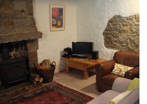 Smart TV, DVD player, books, stereo - Traditional farmhouse, cottage and Anexxe, 2 acre garden and woods, (Louvigné-du-Désert)