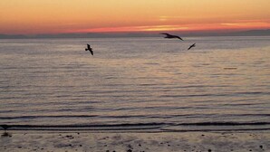 Beach nearby - Boho Blue Heron, BBH 7532 (Birch Bay)