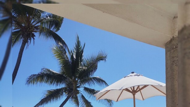Een zwembad met uitzicht op zee, een palmboom en een witte parasol.