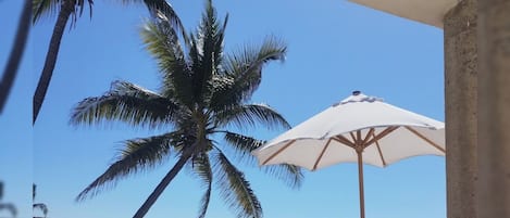 室外泳池