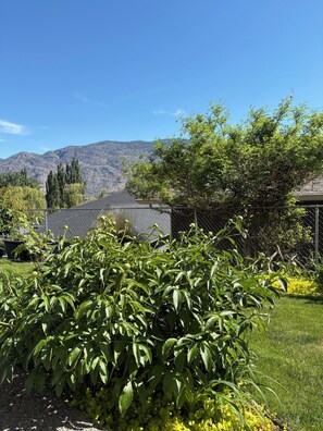 Property grounds - Garden level suite in sunny Osoyoos. Minutes from beaches, parks and golf! (Osoyoos)