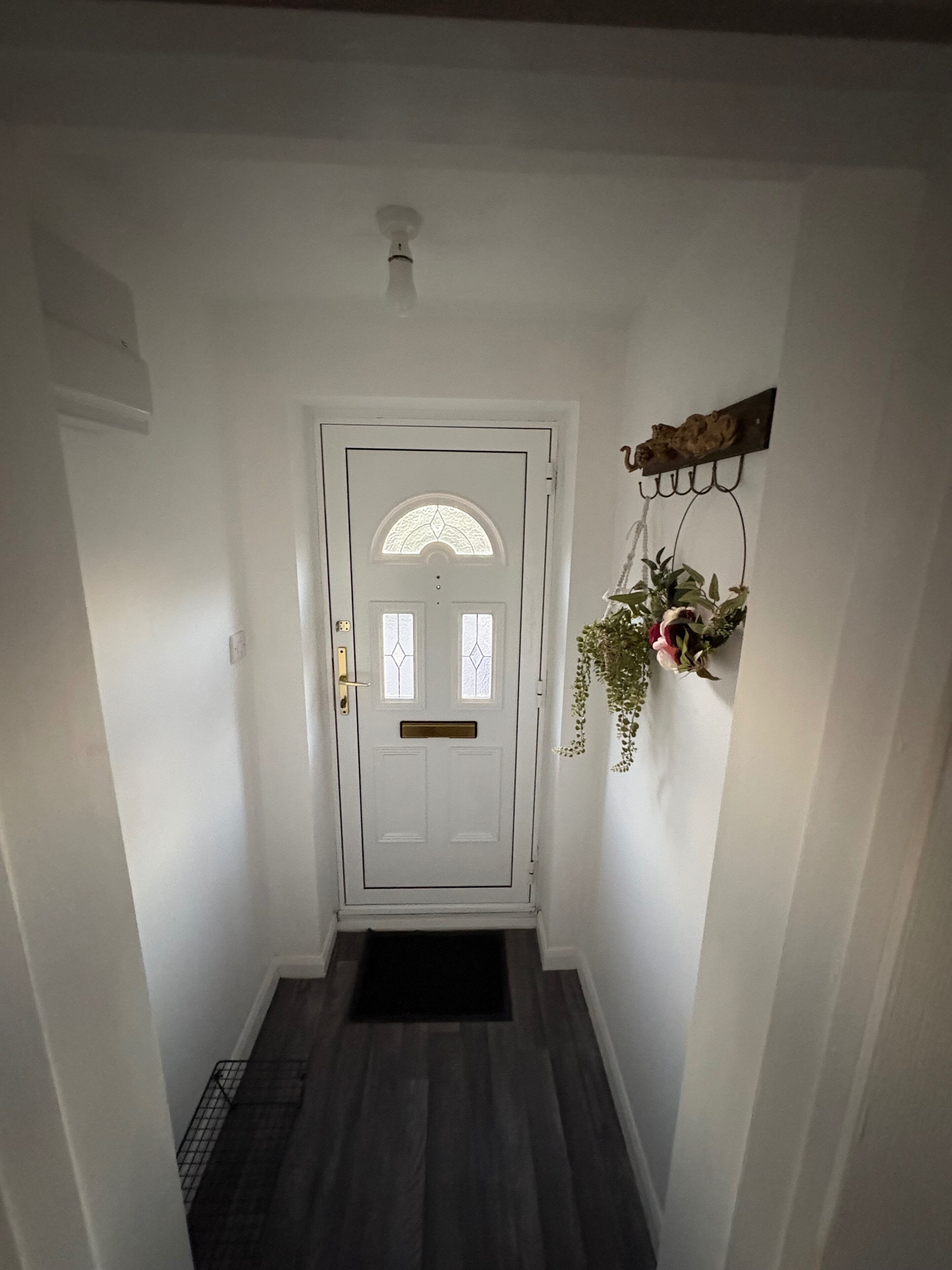 A hallway with a white door, a black mat, and a wall-mounted plant.