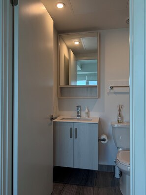 Shower, hair dryer, towels, soap - Downtown Toronto Apartment: 2 Bedrooms, 2 Bathrooms, Balcony (Toronto)
