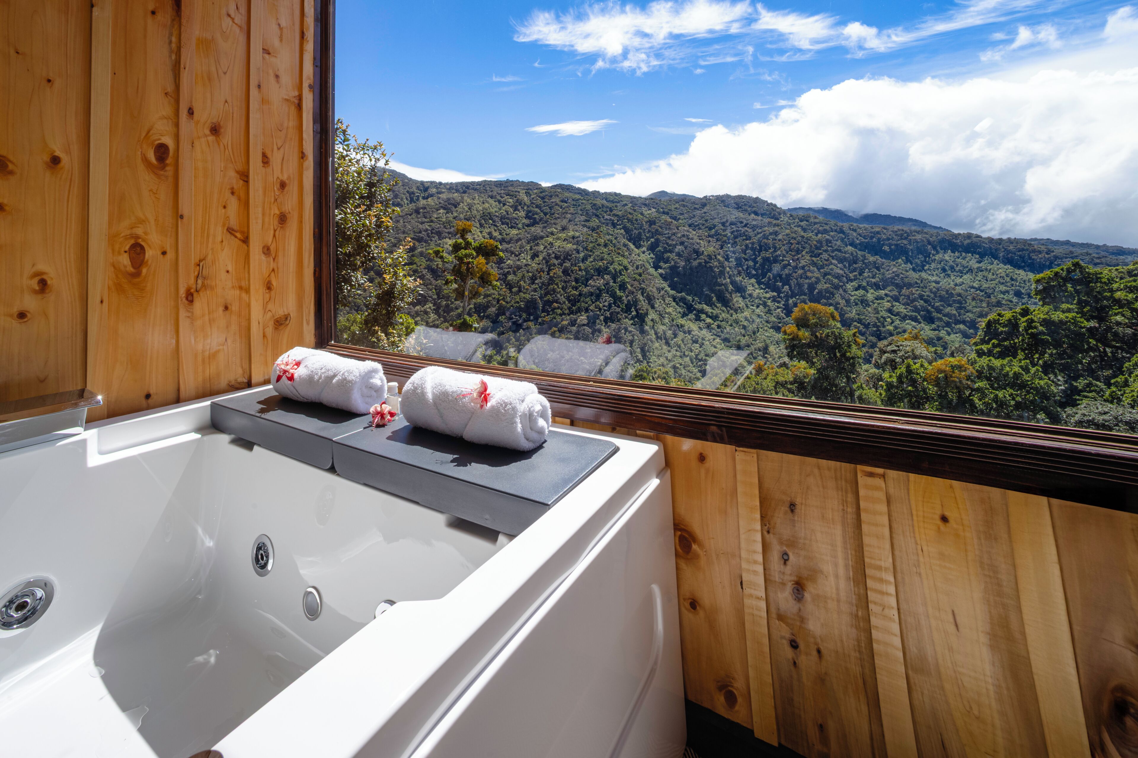 Superior Double Room, Balcony, Mountain View | Bathroom