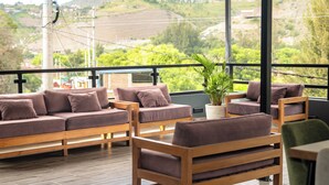 Una terraza con mobiliario de madera y una planta en maceta.
