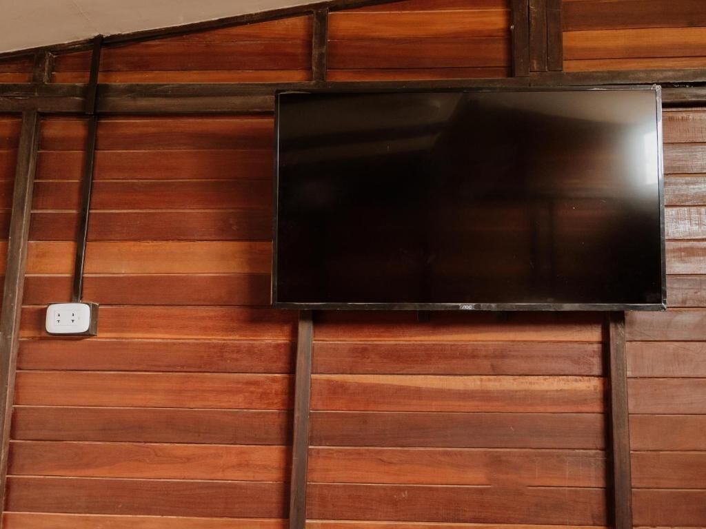 Fernseher