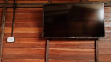 Fernseher