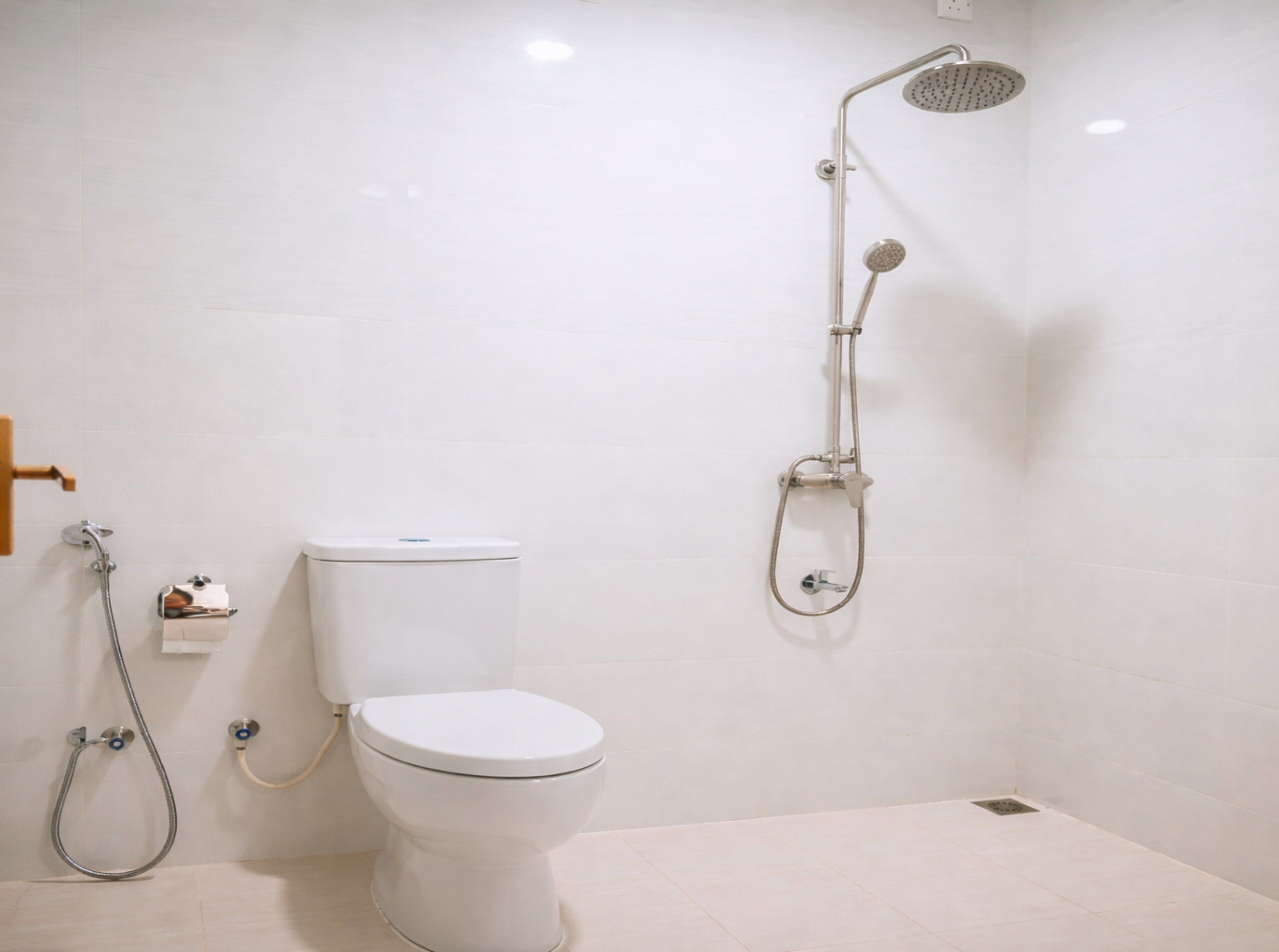 Shower, bidet, towels, soap