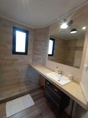 Shower, hair dryer, bidet, towels