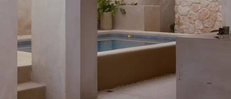 A modern outdoor pool area with a stone wall, a potted plant, and a concrete structure.