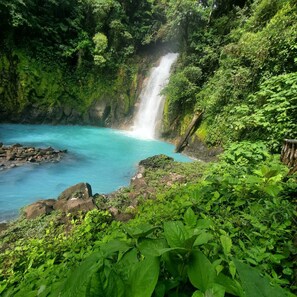 Miscellaneous - AURALTA Rio Celeste (Guatuso)