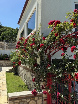 A house with a stone wall and a red fence, surrounded by a well-maintained lawn and a garden with red flowers.