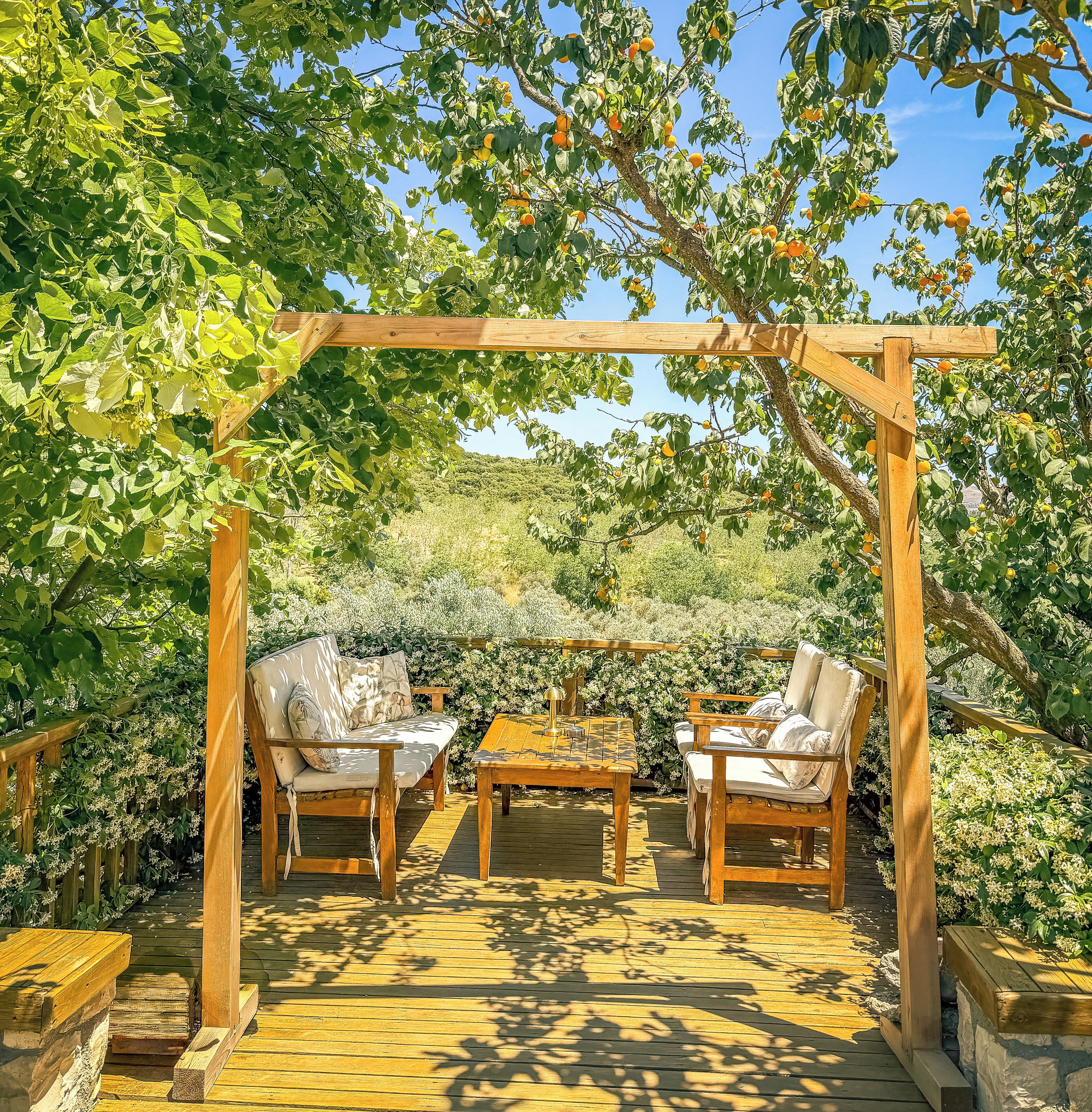 Une pergola en bois installée à l’extérieur, avec une table et deux chaises en dessous, entourée d’une végétation luxuriante et d’arbres fruitiers.