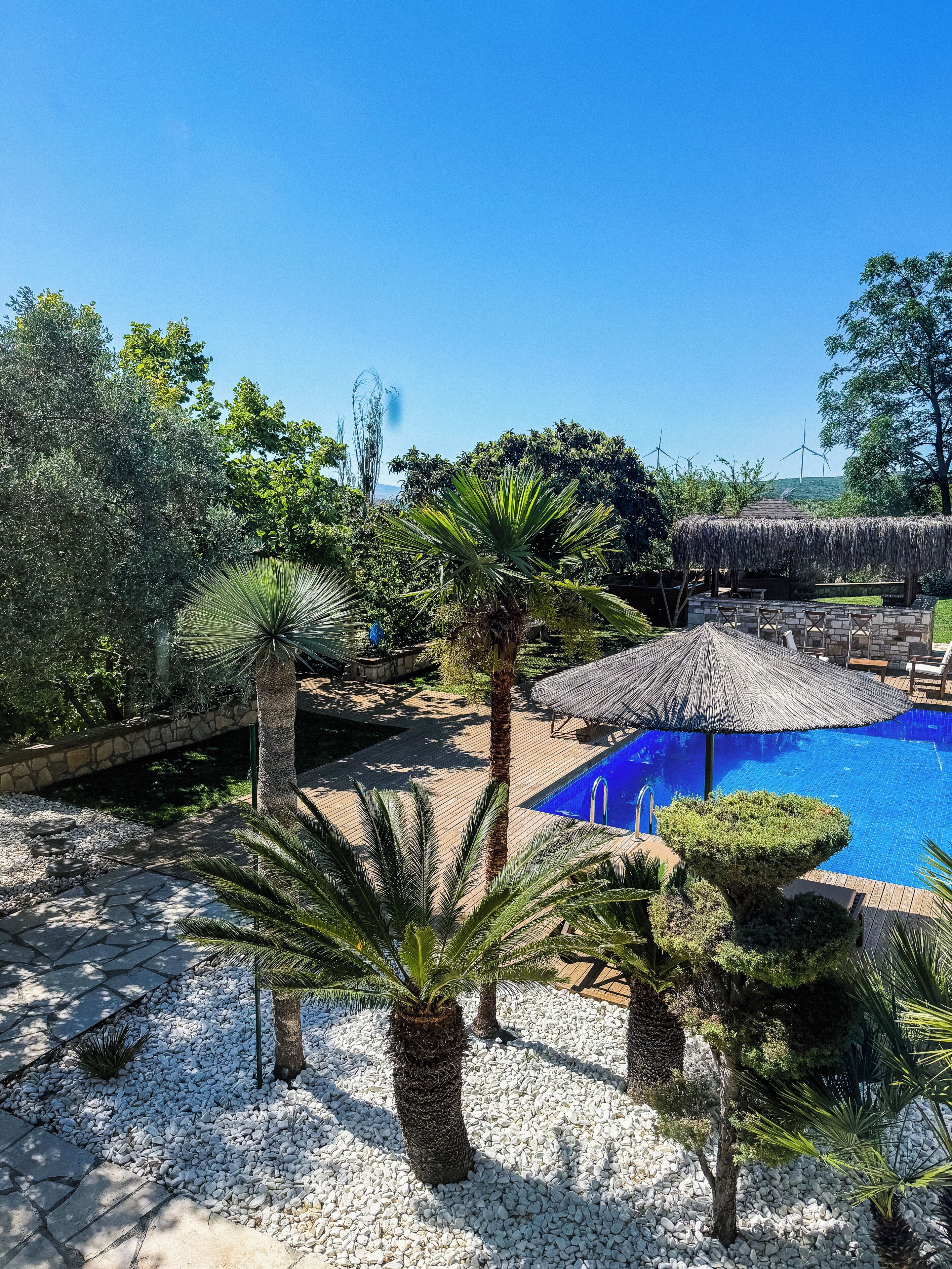 A pool area with a clear blue pool, surrounded by palm trees and a thatched umbrella.