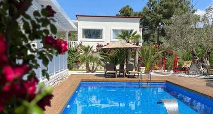 Casa Del Olivia